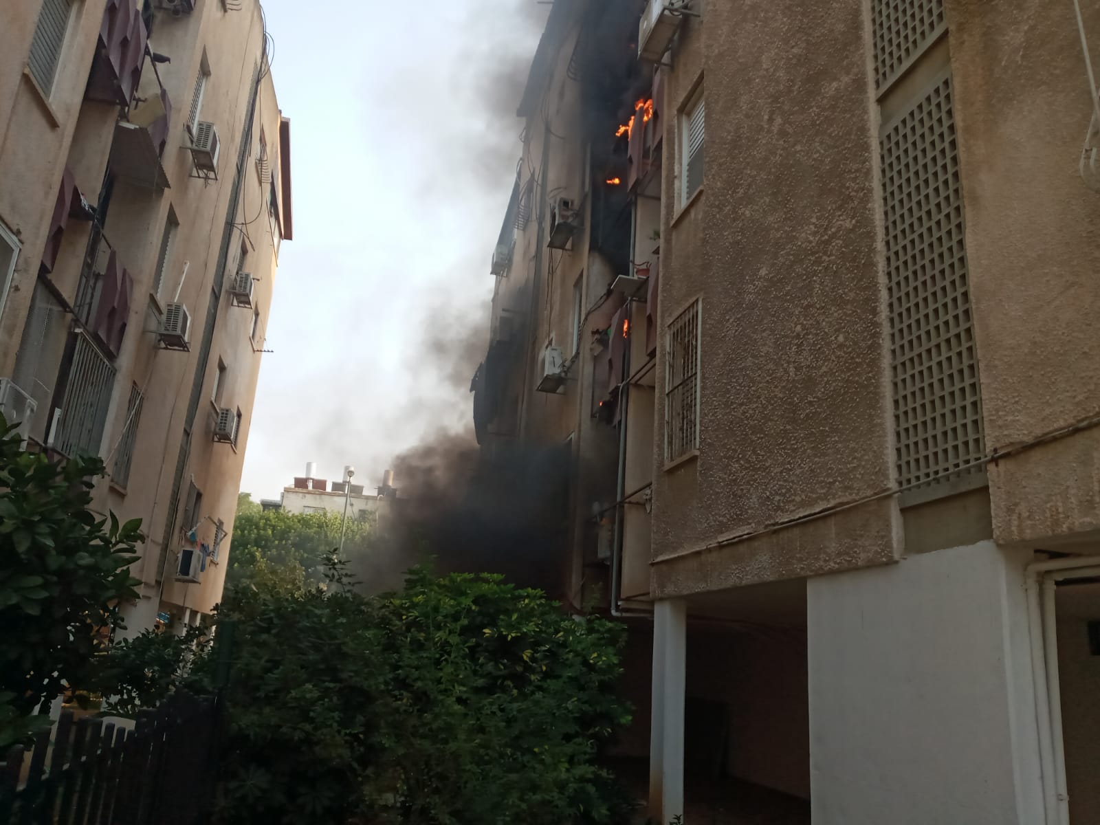 WhatsApp Image 2020-07-26 at 7.12.18 PM (1).jpeg.jpeg